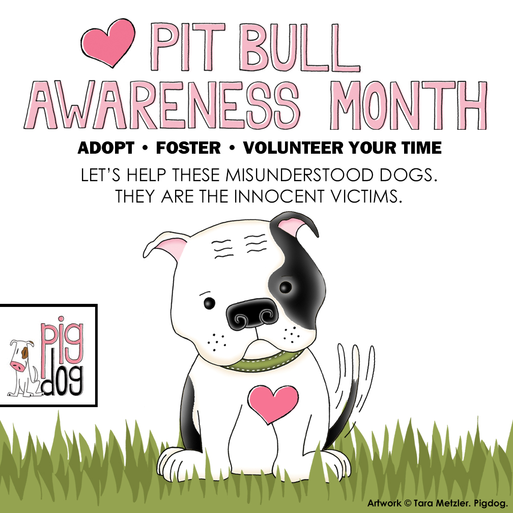 advocate pitbull awareness month