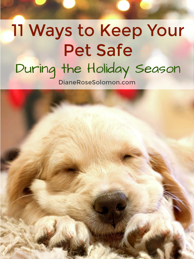 How to Keep Your Pets Safe This Winter Holiday Season