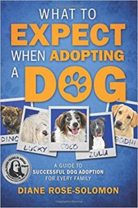 What to Expect When Adopting A Dog | Dianerosesolomon.com